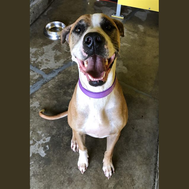 Photo of Maddy