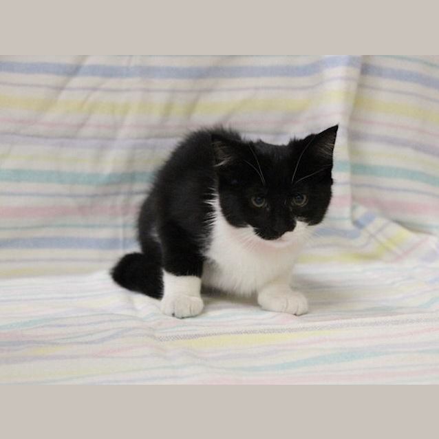 Photo of Maria (0481)