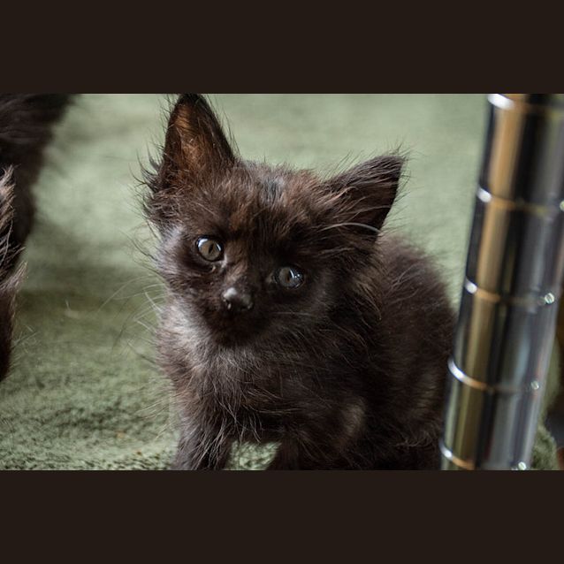 Photo of Seth And Sebastian