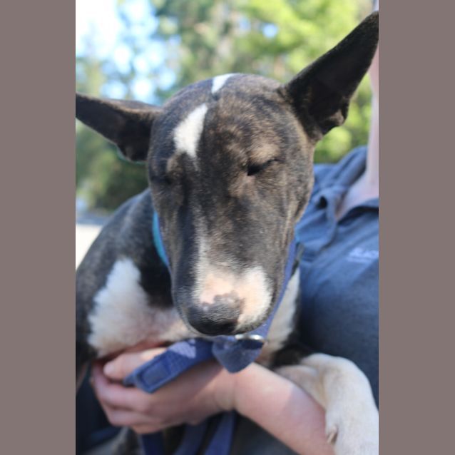 Photo of Siarra