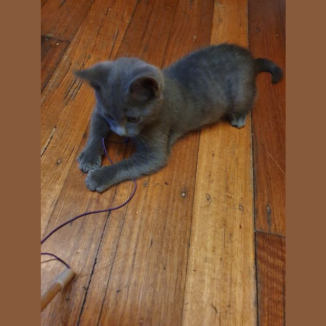 Photo of Calvin