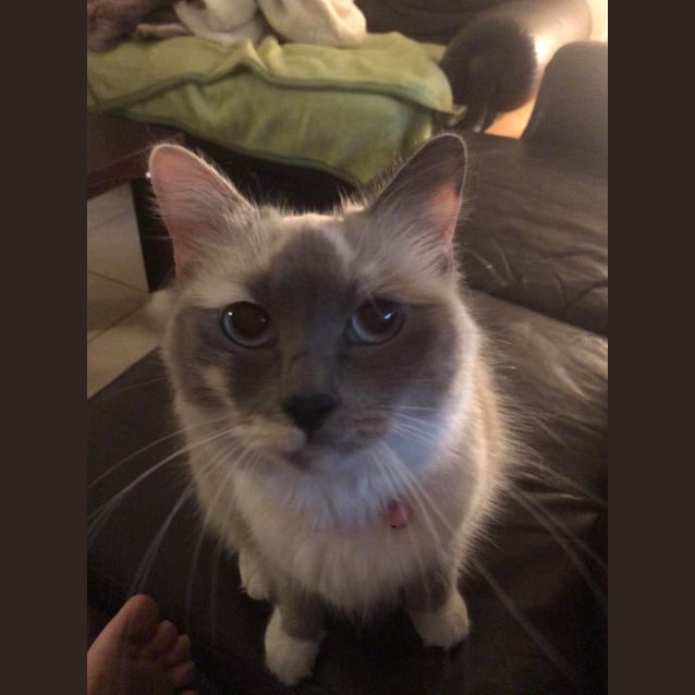 Photo of Baby