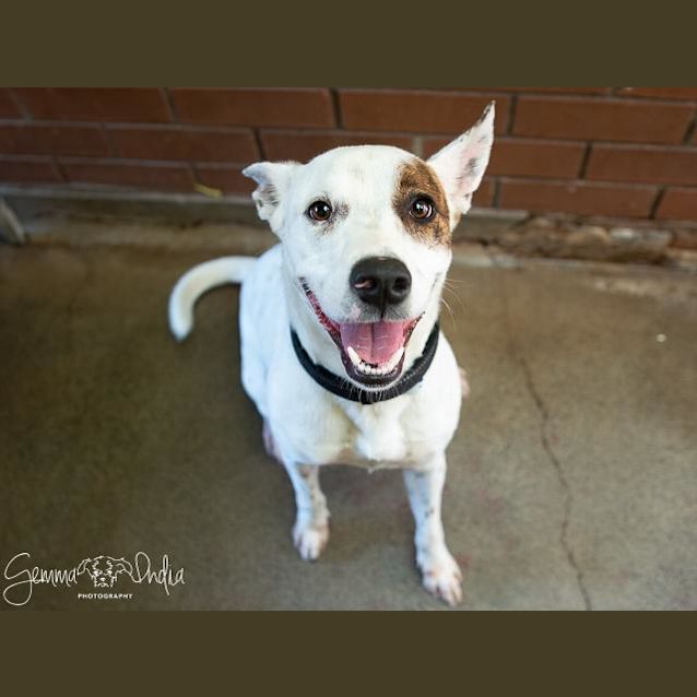 Photo of Boston (1242)