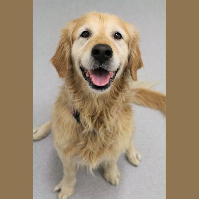 Photo of Hallie