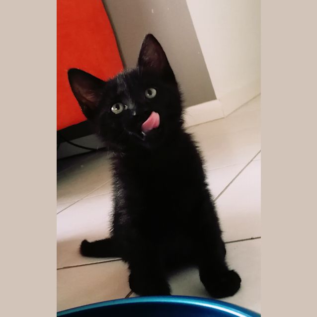 Photo of Marvin (The Martian)