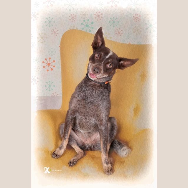 Photo of A Zoey 💥💥💥