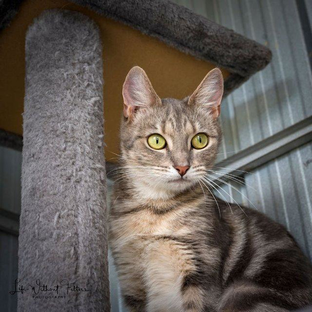 Photo of Tameeka