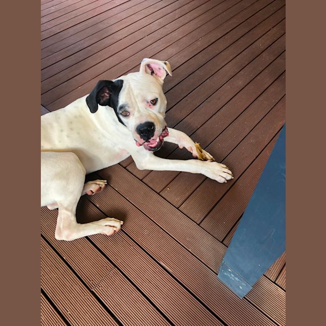 Photo of Frank