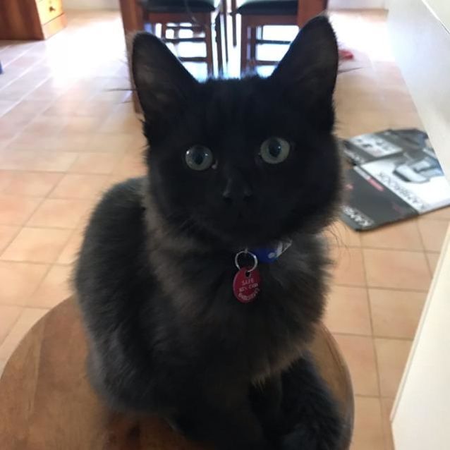 Photo of Salem