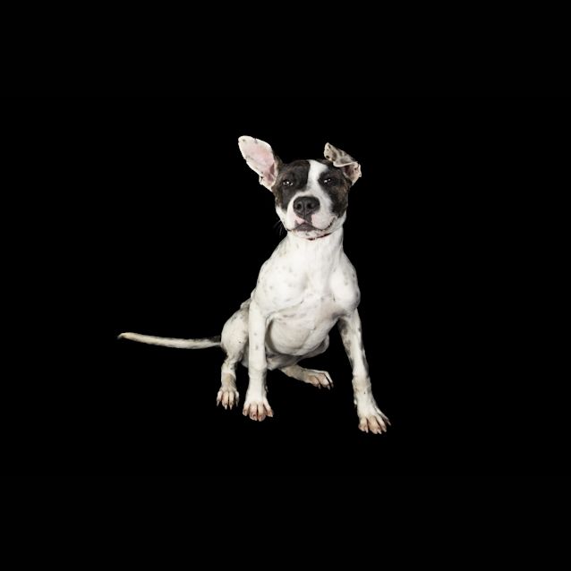 Photo of Delta