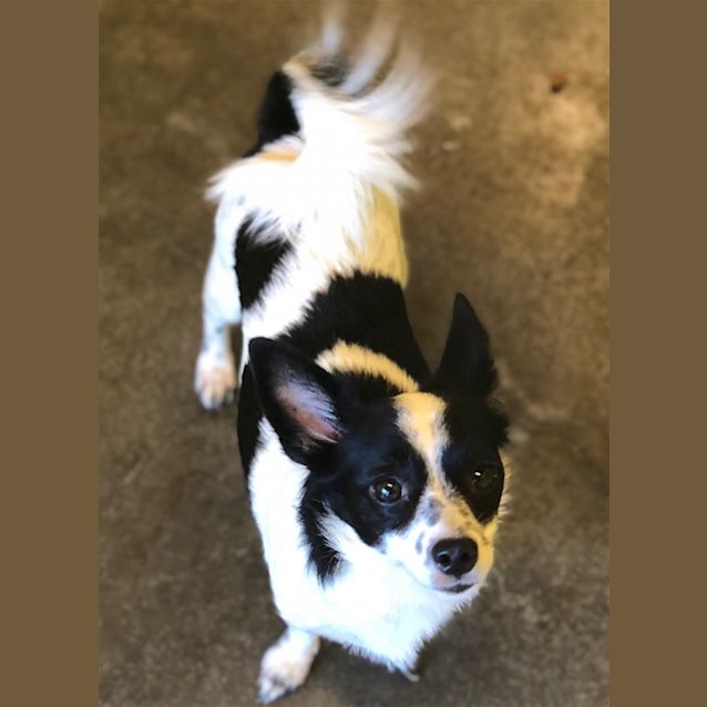 Photo of Holly