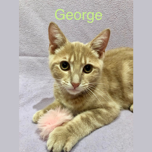 Photo of George