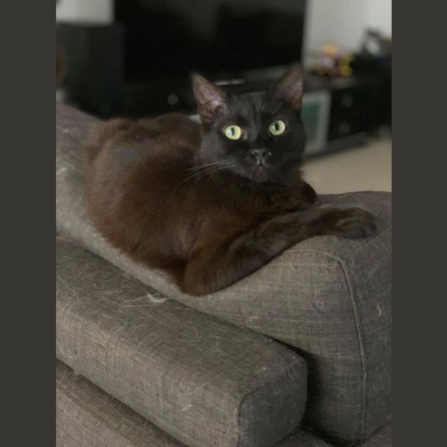 Photo of Jamal