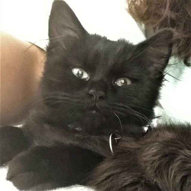 Photo of Sebastian