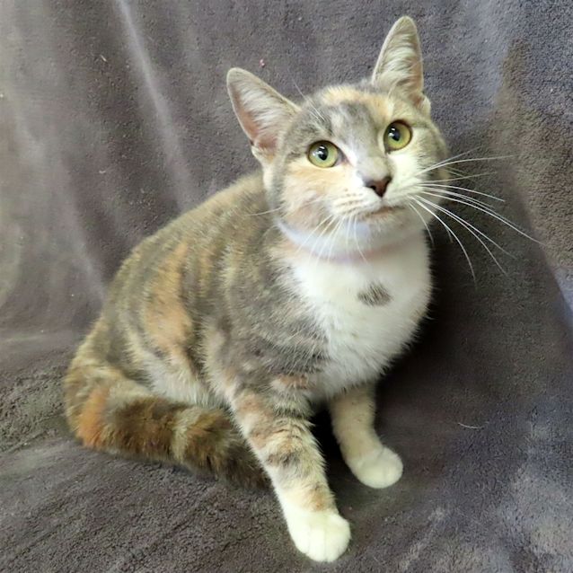 Photo of Heidi