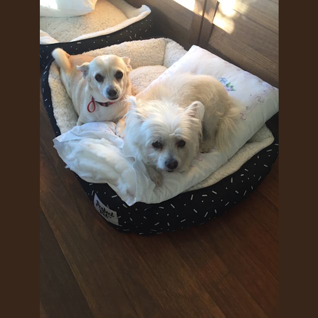 Photo of Tuppence & Toby 