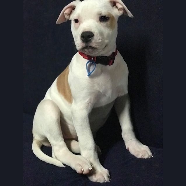 Photo of Storm 