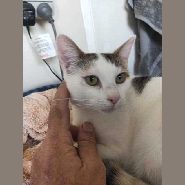 Photo of Neo