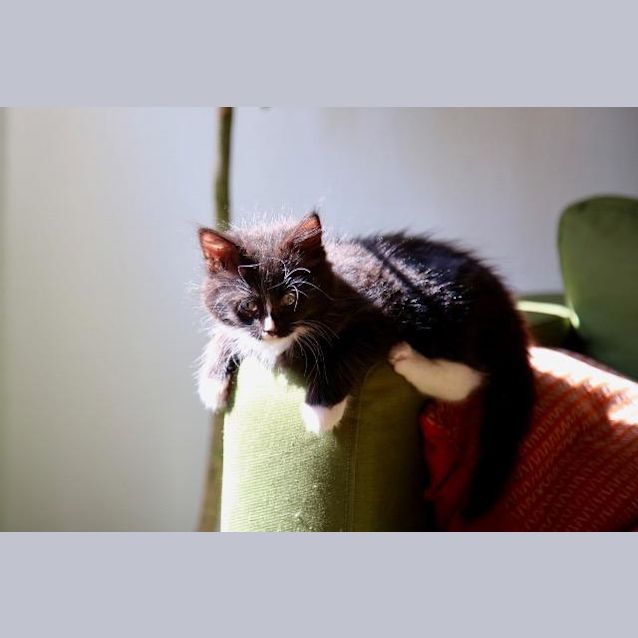 Photo of Sunday (Sunny)