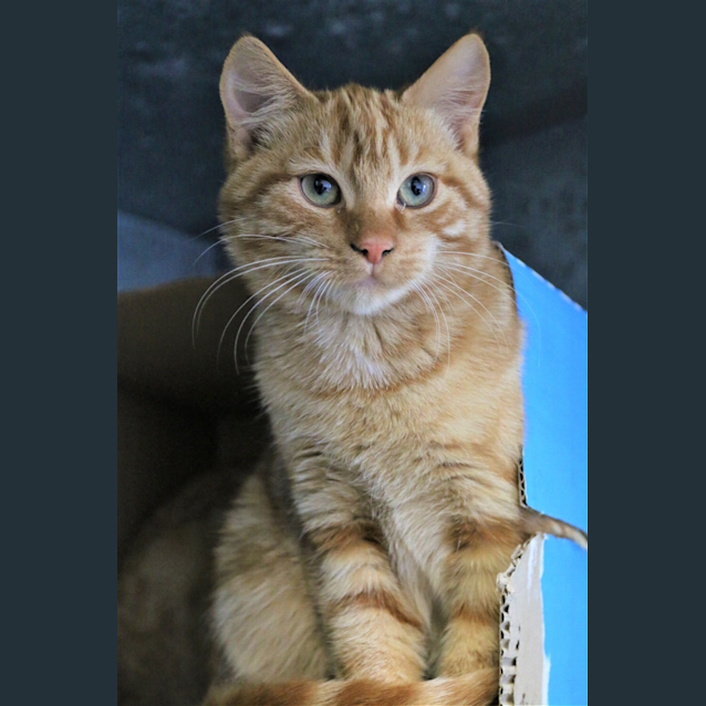 Photo of Carlos