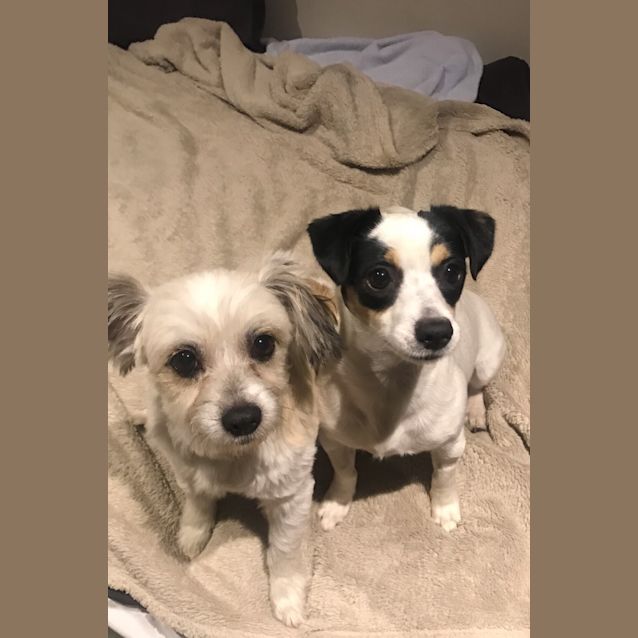 Photo of Bee Gee & Ailish