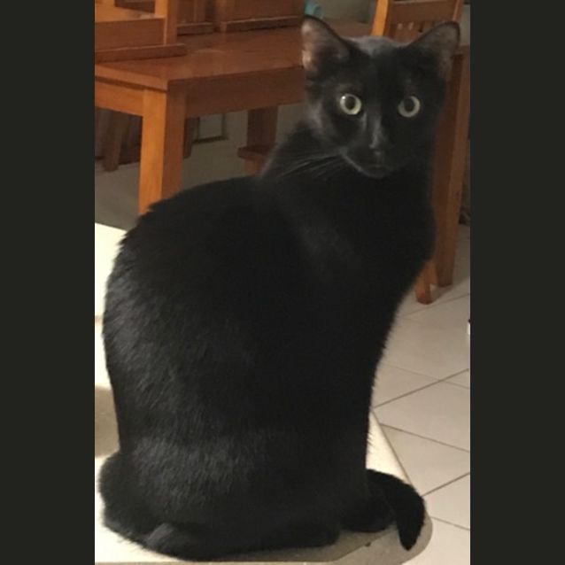 Photo of Alec