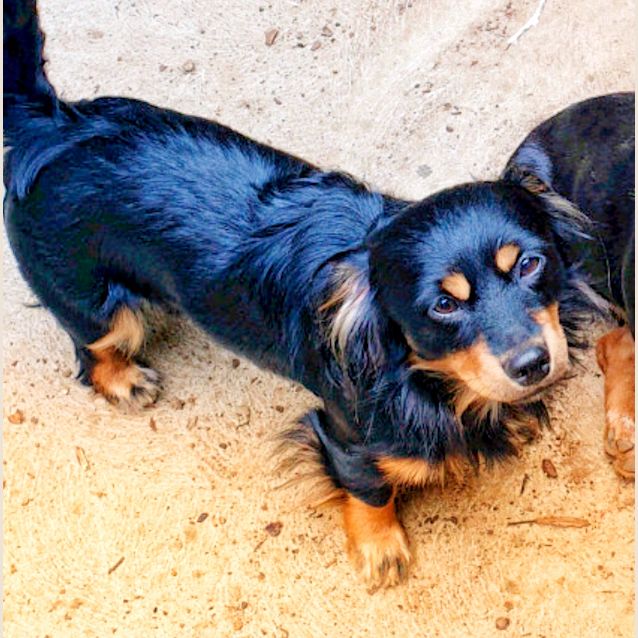 Photo of Charlie 