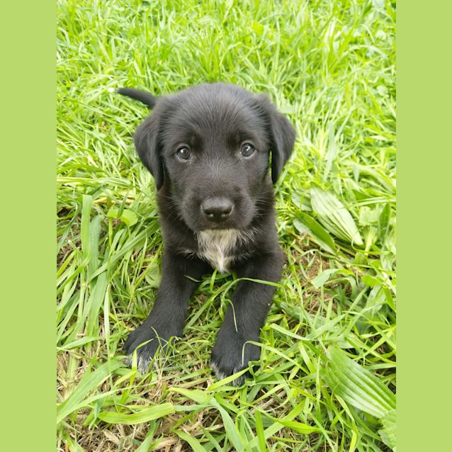 Photo of Slate