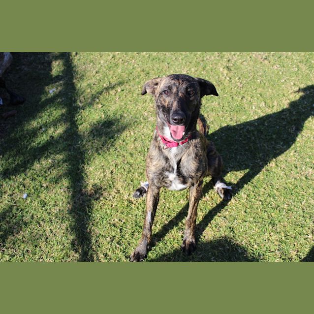 Photo of Shilo