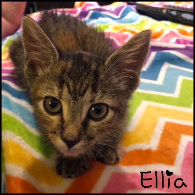 Photo of Ellie