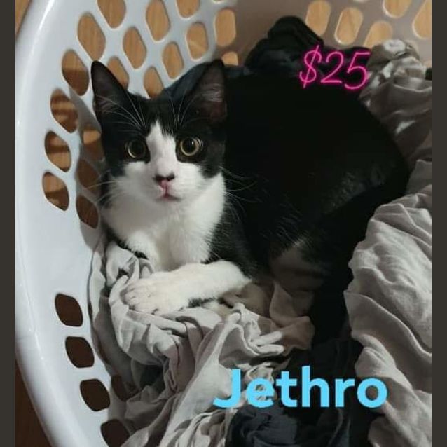 Photo of Jethro