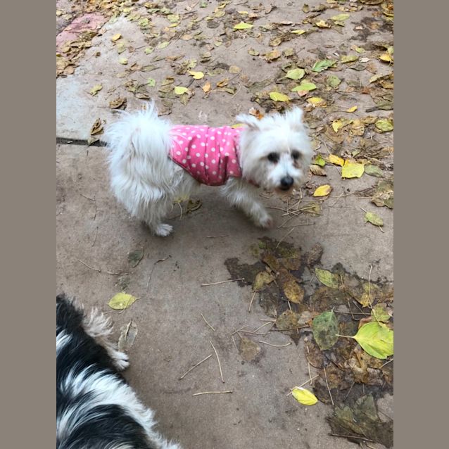 Photo of Bella 