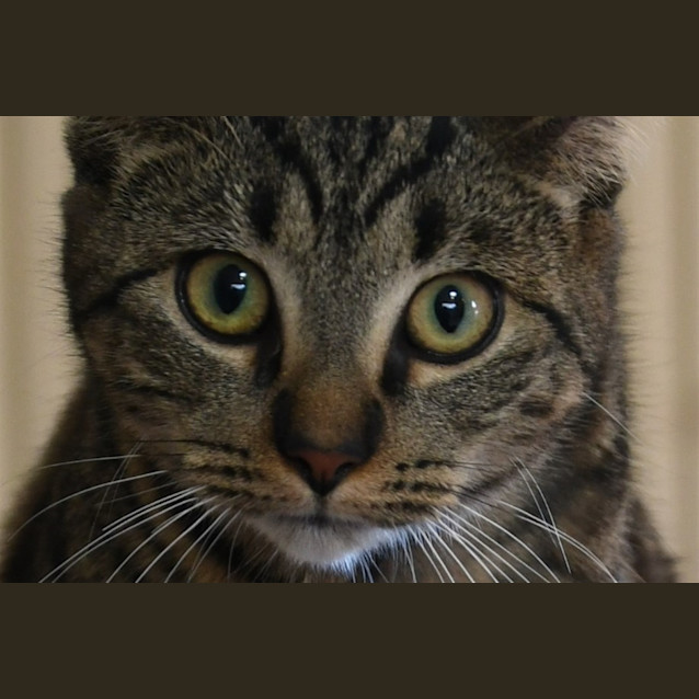 Photo of Laylah