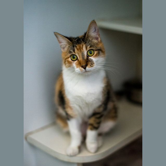 Photo of Matilda