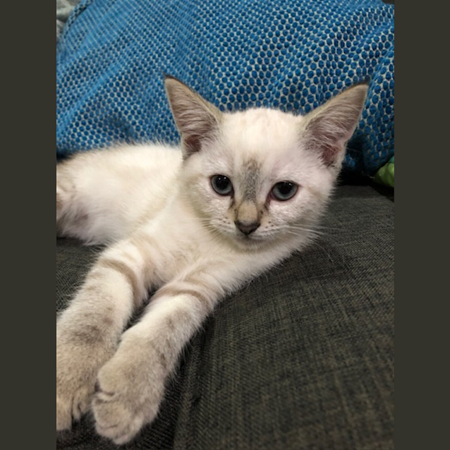 Photo of Xena