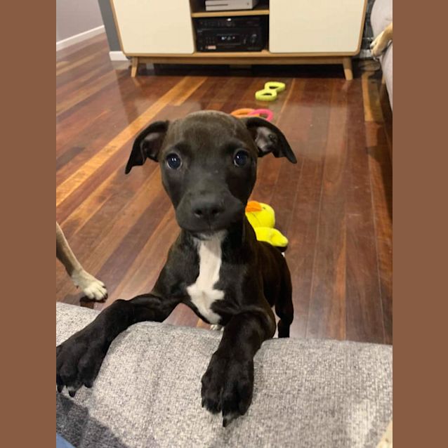 Photo of Narla