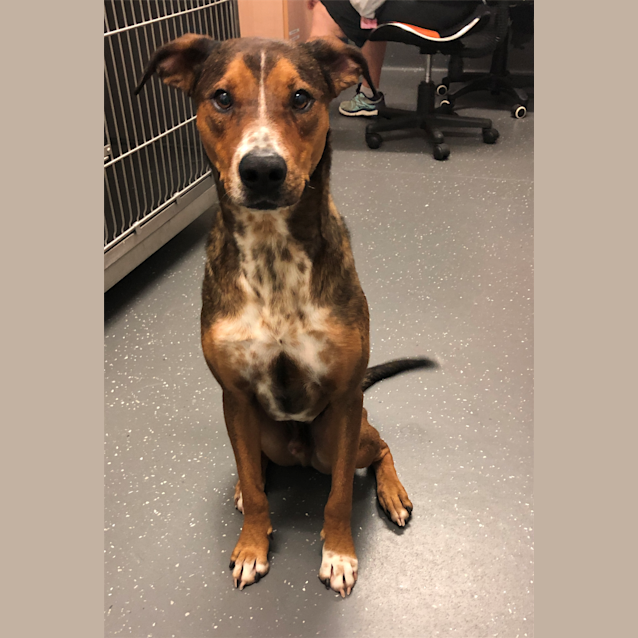 Photo of Slinky