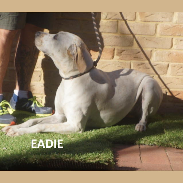 Photo of Eadie