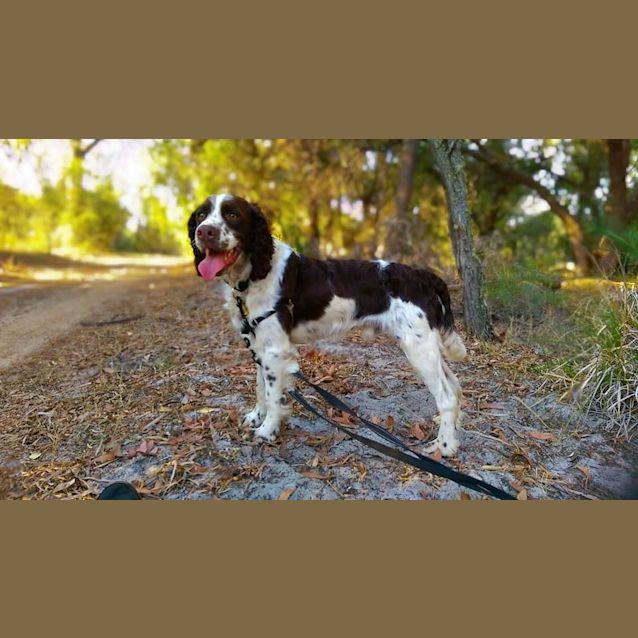 Photo of Fletcher D0007