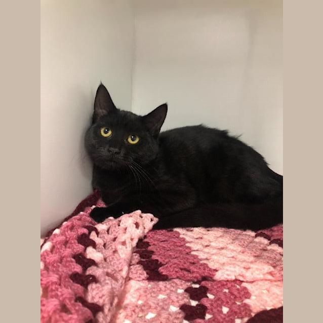 Photo of Storm