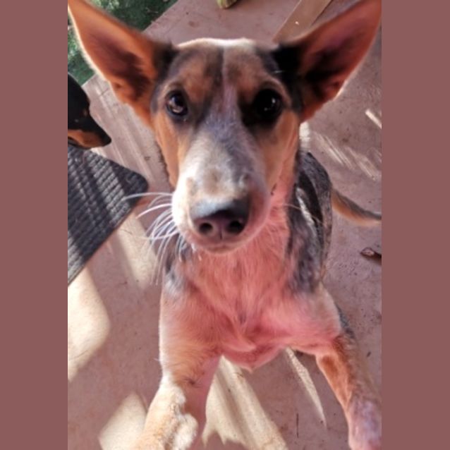 Photo of Maxine