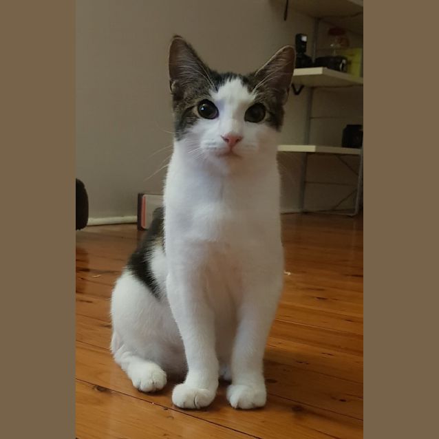 Photo of Tom And Toby