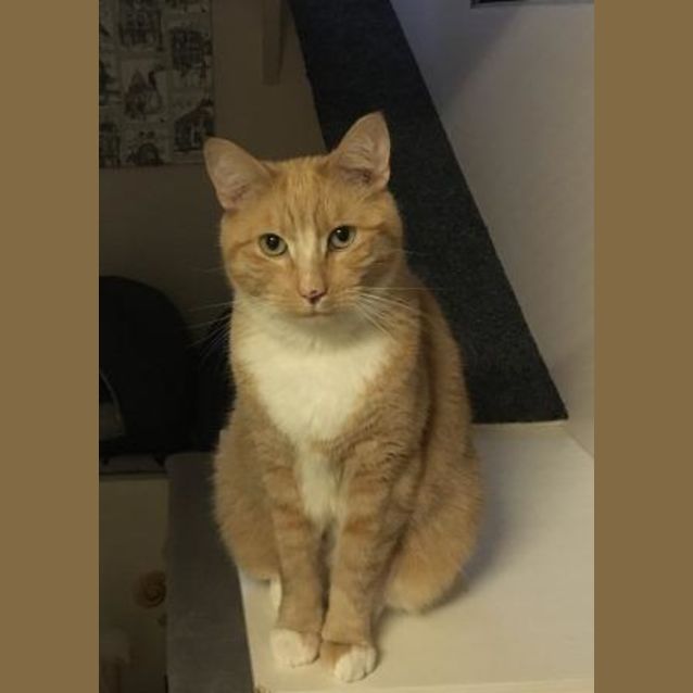 Photo of Leo