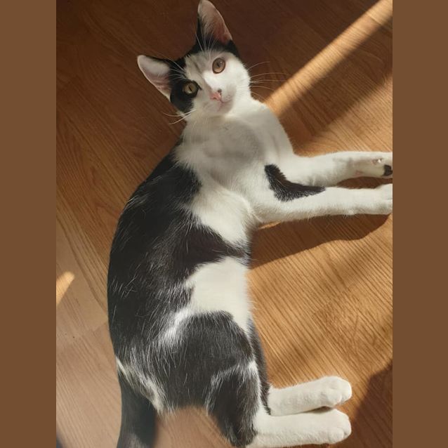 Photo of Storm