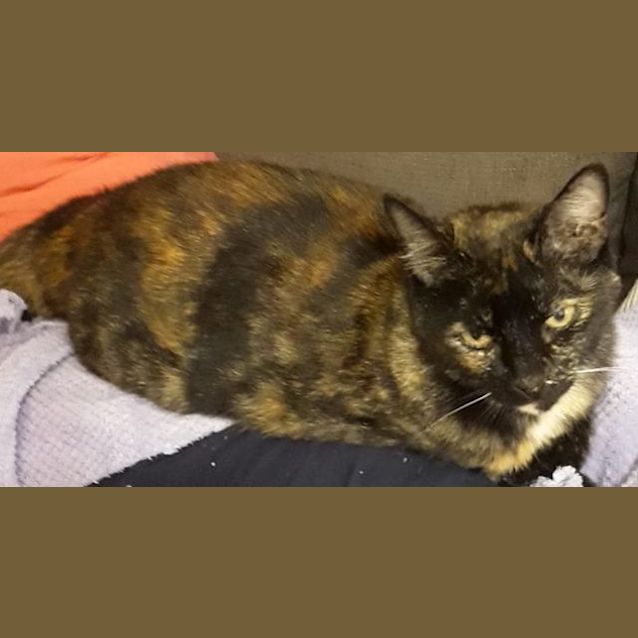 Photo of Missy
