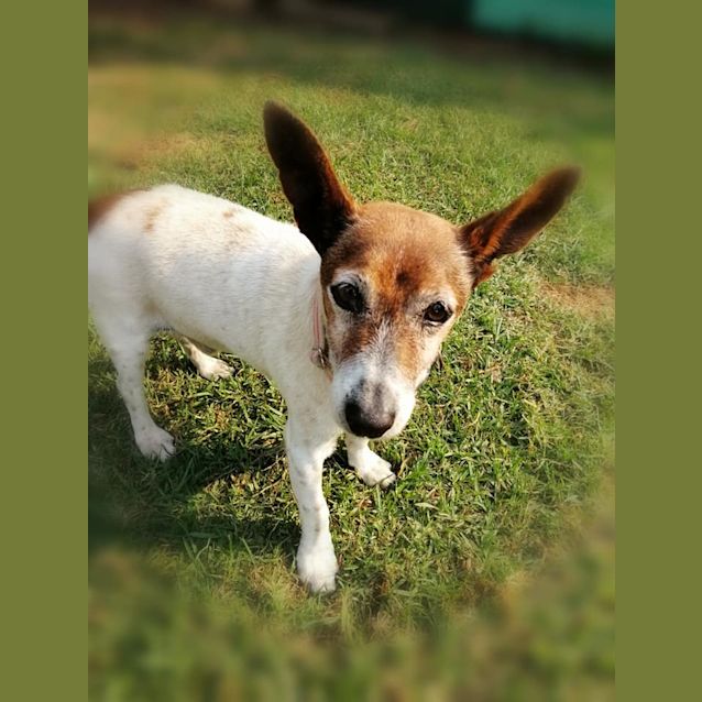 Photo of Johnny