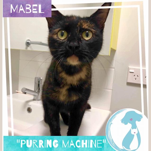 Photo of Mabel