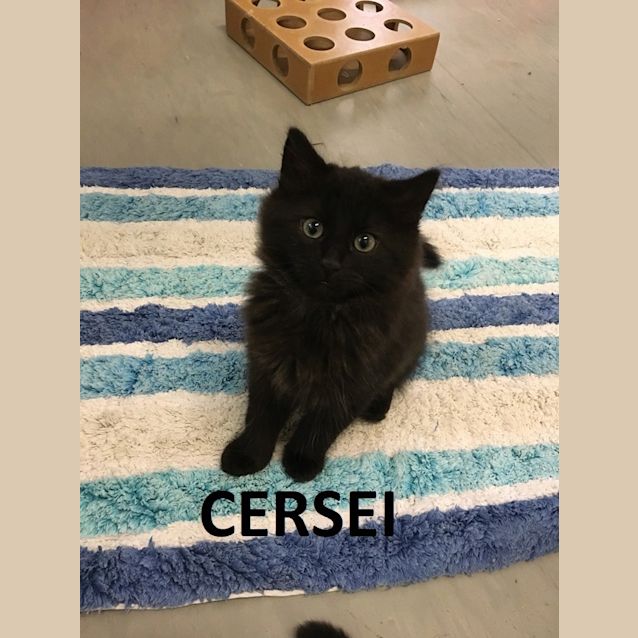 Photo of Cersei