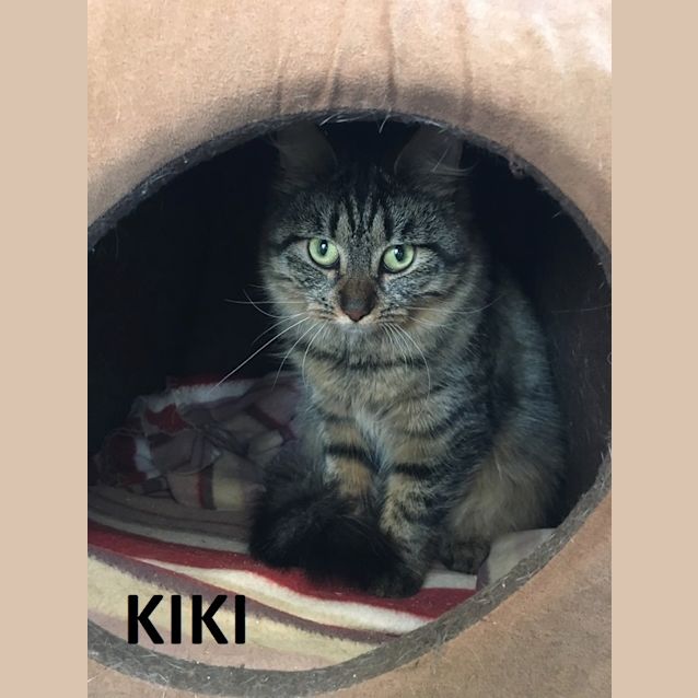 Photo of Kiki