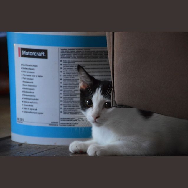 Photo of Castiel